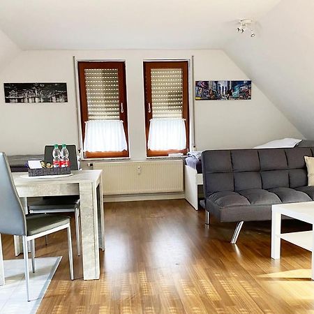 Schoenes 1 Zimmer Apartment Mit Dachterrasse Glauchau Exterior photo